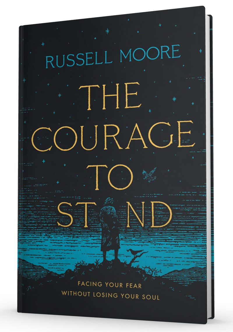 Courage to Stand book