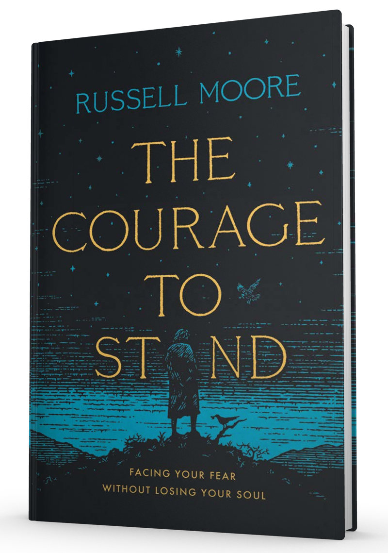 Courage to Stand book