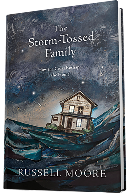 The Storm-Tossed Family book